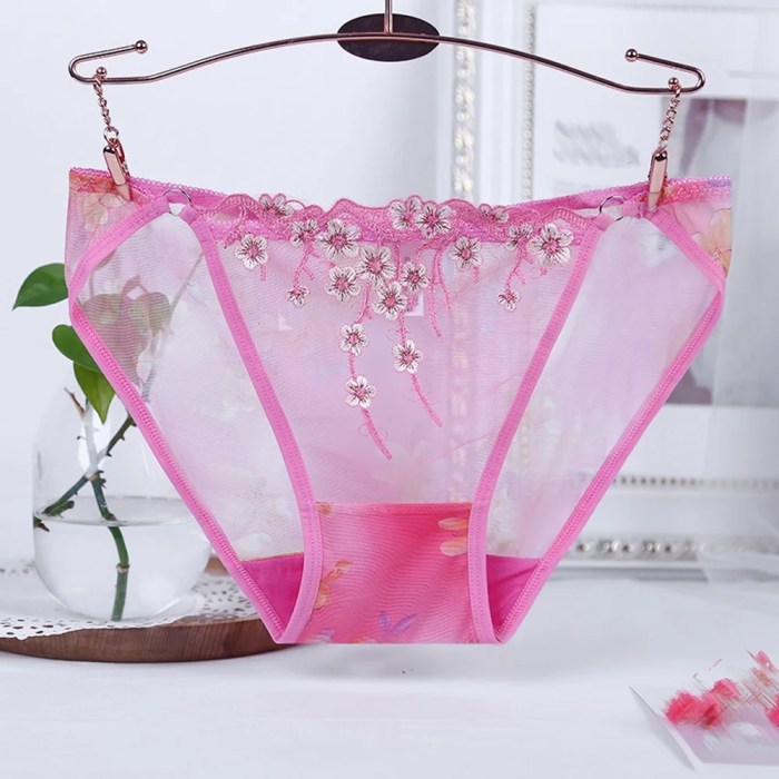 Satin Panties S to Plus Size Womens Underwear Full Coverage Brief 6 ... Underwear & Socks: The Foundation of Global Apparel Sales